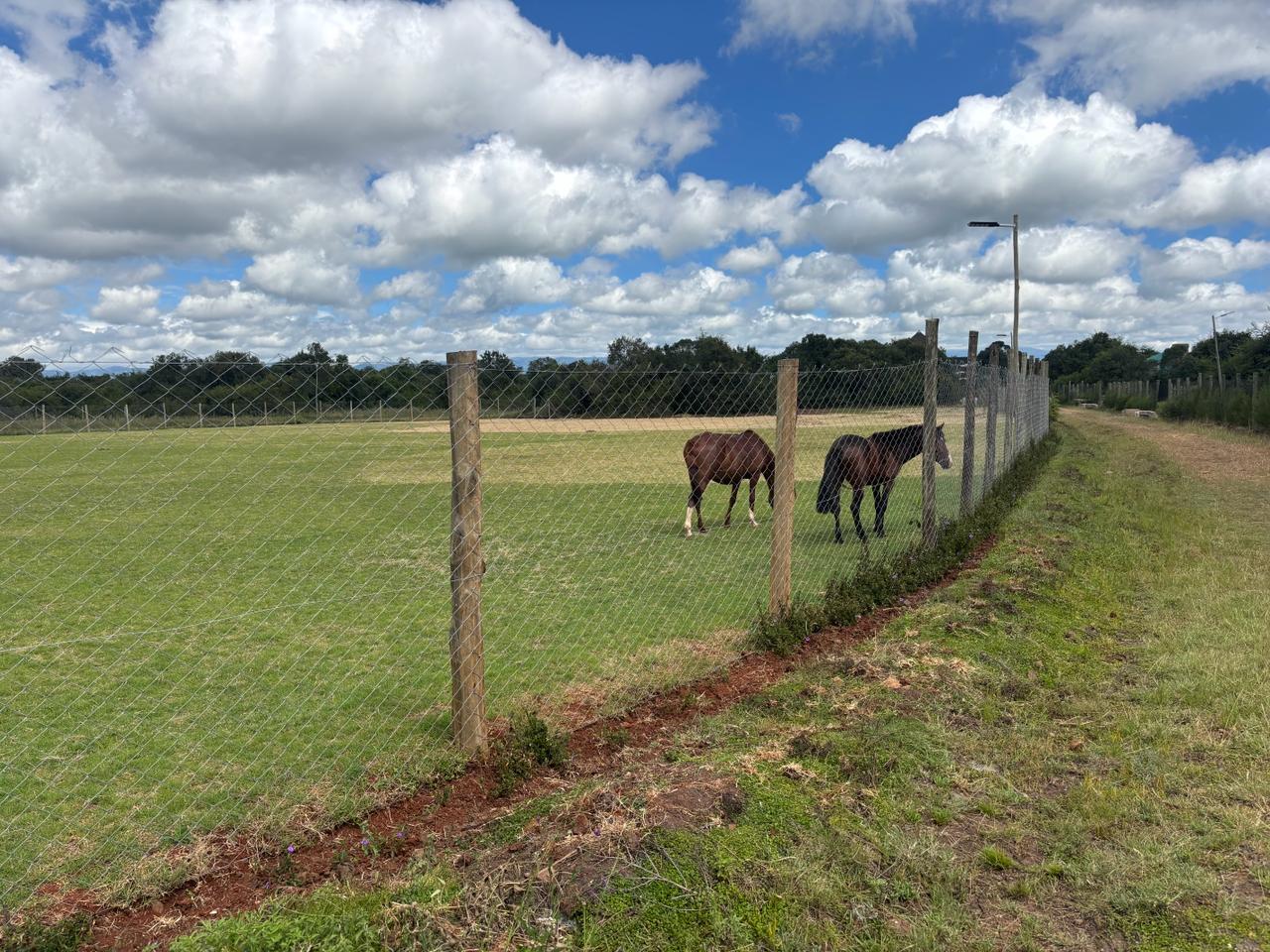 Horse Riding at Greenwood Eco Lodge
